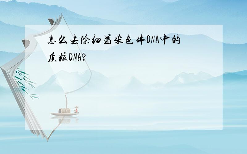 怎么去除细菌染色体DNA中的质粒DNA?