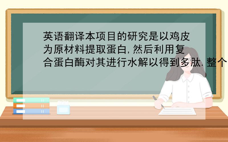 英语翻译本项目的研究是以鸡皮为原材料提取蛋白,然后利用复合蛋白酶对其进行水解以得到多肽.整个实验主要分为三个部分,首先是