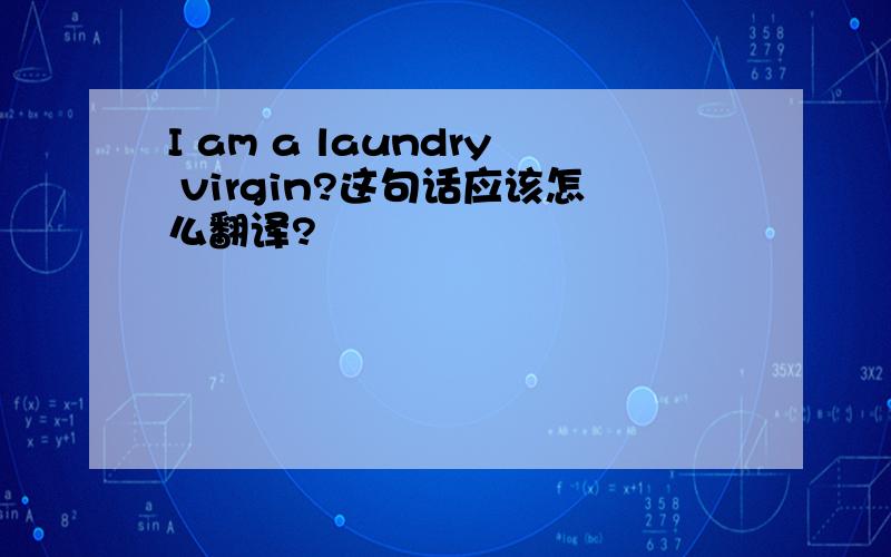 I am a laundry virgin?这句话应该怎么翻译?