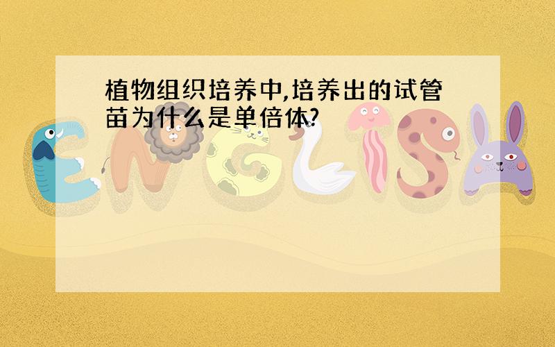 植物组织培养中,培养出的试管苗为什么是单倍体?