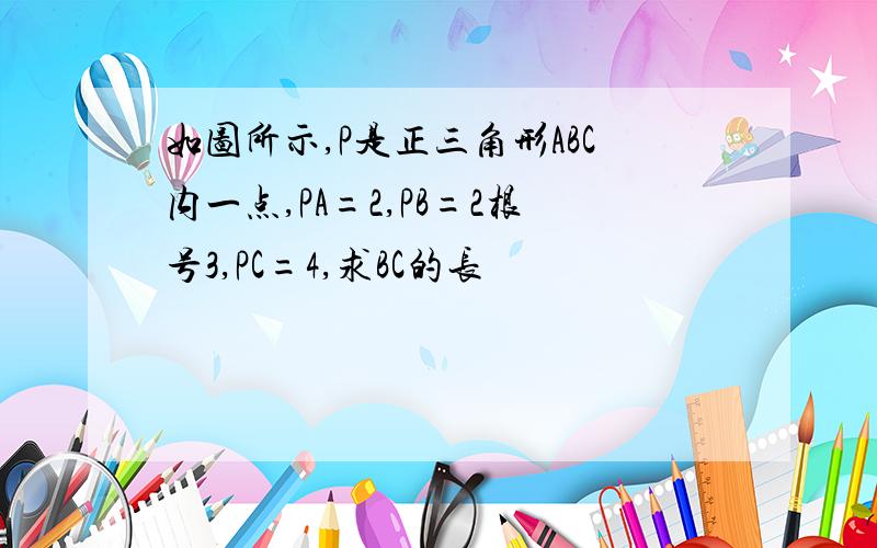 如图所示,P是正三角形ABC内一点,PA=2,PB=2根号3,PC=4,求BC的长