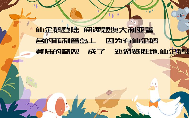 仙企鹅登陆 阅读题澳大利亚著名的菲利普岛上,因为有仙企鹅登陆的奇观,成了一处游览胜地.仙企鹅是一种稀罕的鸟类,它小巧玲珑