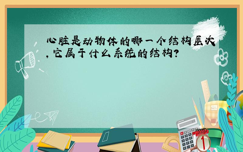 心脏是动物体的哪一个结构层次,它属于什么系统的结构?