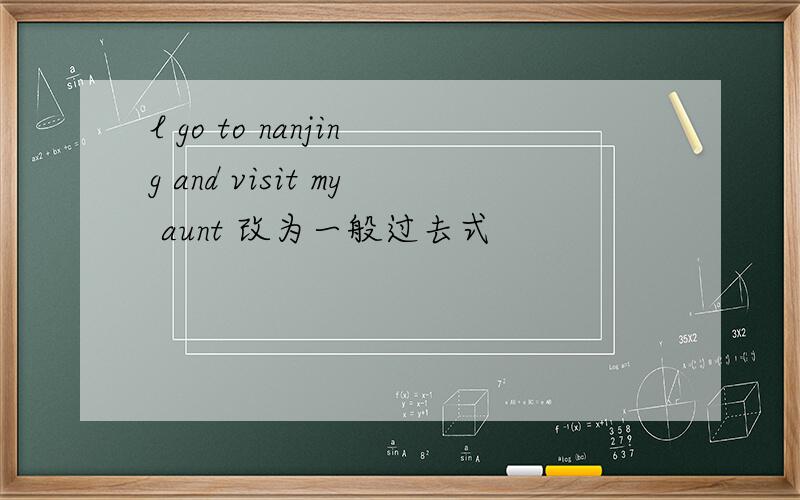 l go to nanjing and visit my aunt 改为一般过去式