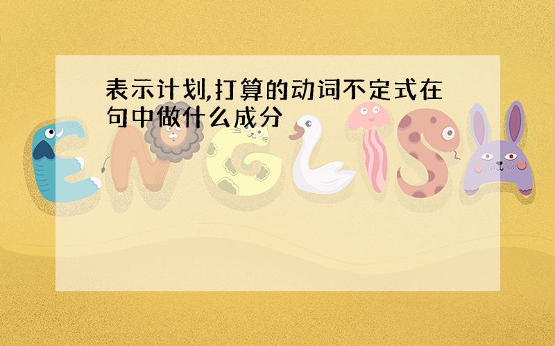 表示计划,打算的动词不定式在句中做什么成分