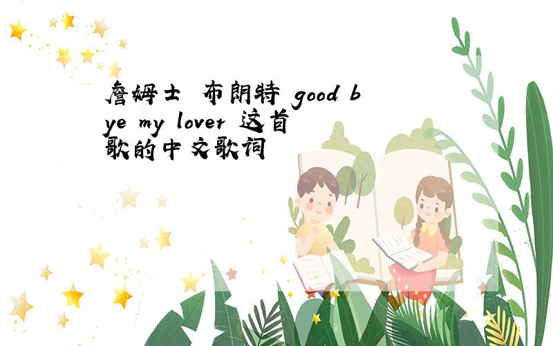 詹姆士 布朗特 good bye my lover 这首歌的中文歌词