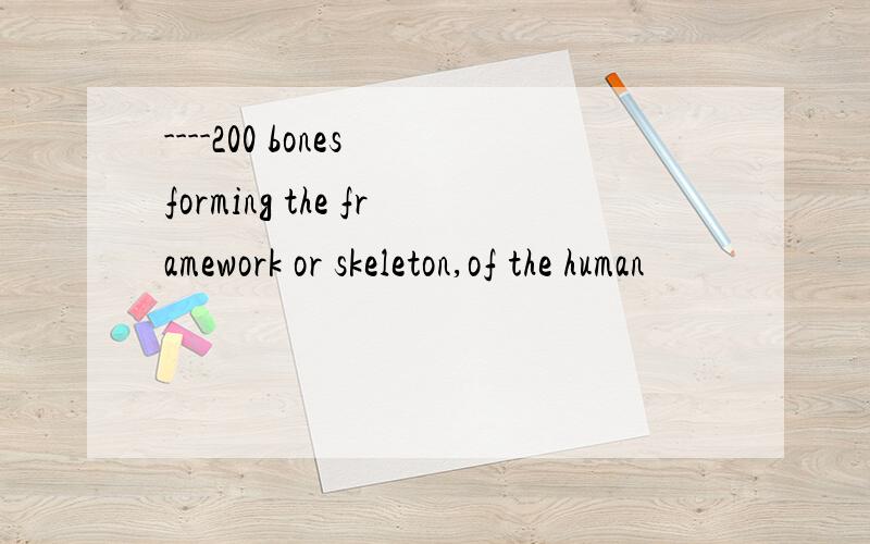 ----200 bones forming the framework or skeleton,of the human