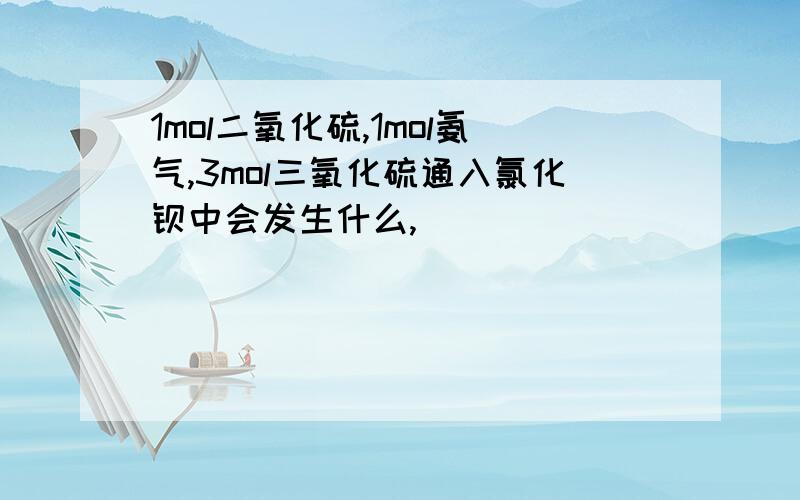 1mol二氧化硫,1mol氨气,3mol三氧化硫通入氯化钡中会发生什么,