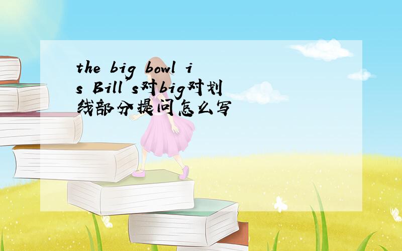 the big bowl is Bill's对big对划线部分提问怎么写