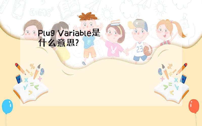 Plug Variable是什么意思?