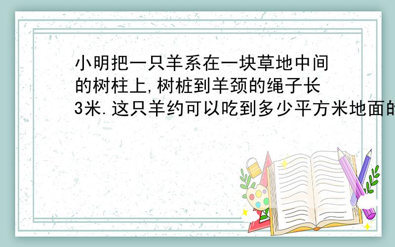 小明把一只羊系在一块草地中间的树柱上,树桩到羊颈的绳子长3米.这只羊约可以吃到多少平方米地面的草?