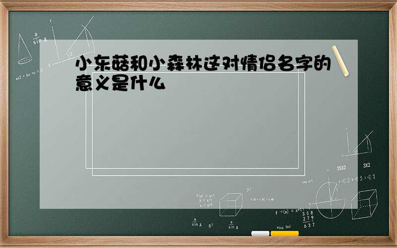 小东菇和小森林这对情侣名字的意义是什么