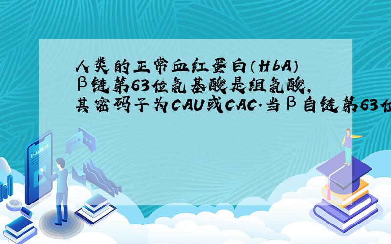 人类的正常血红蛋白（HbA）β链第63位氨基酸是组氨酸，其密码子为CAU或CAC．当β自链第63位组氨酸被酪氨酸（UAU