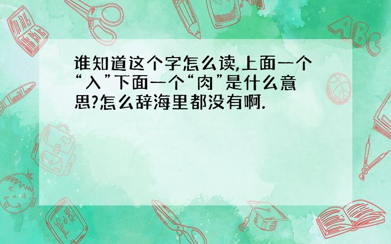 谁知道这个字怎么读,上面一个“入”下面一个“肉”是什么意思?怎么辞海里都没有啊.