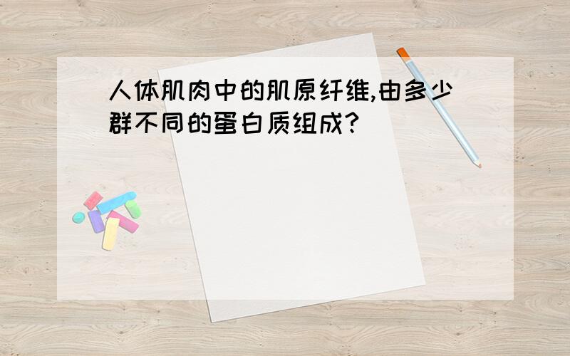 人体肌肉中的肌原纤维,由多少群不同的蛋白质组成?