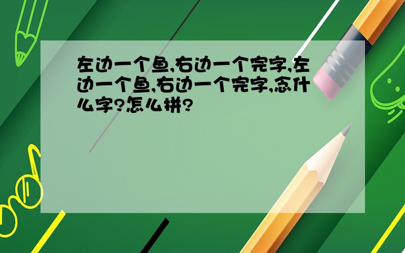 左边一个鱼,右边一个完字,左边一个鱼,右边一个完字,念什么字?怎么拼?