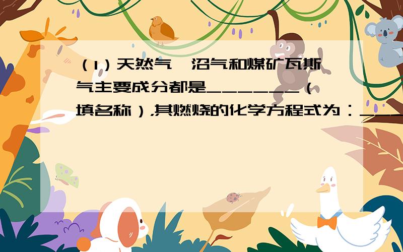 （1）天然气、沼气和煤矿瓦斯气主要成分都是______（填名称），其燃烧的化学方程式为：______．为避免煤矿中瓦斯爆