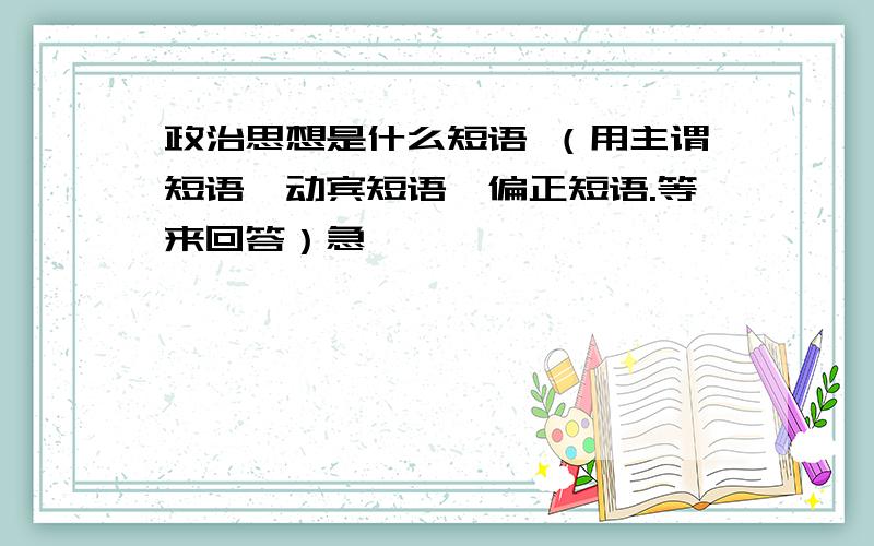 政治思想是什么短语 （用主谓短语,动宾短语,偏正短语.等来回答）急