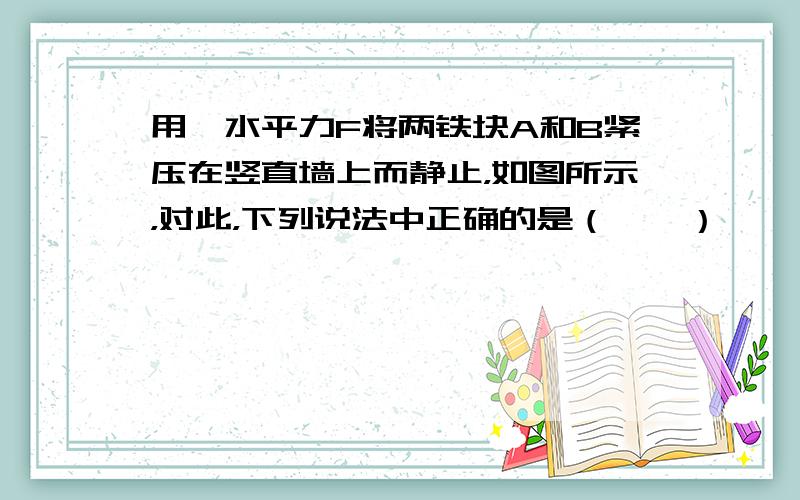 用一水平力F将两铁块A和B紧压在竖直墙上而静止，如图所示，对此，下列说法中正确的是（　　）