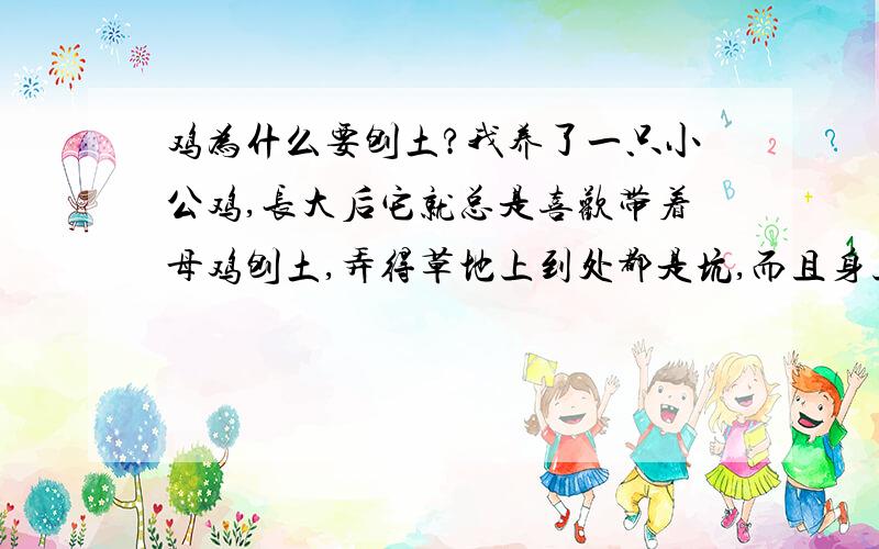 鸡为什么要刨土?我养了一只小公鸡,长大后它就总是喜欢带着母鸡刨土,弄得草地上到处都是坑,而且身上也都是土,我很好奇,鸡为