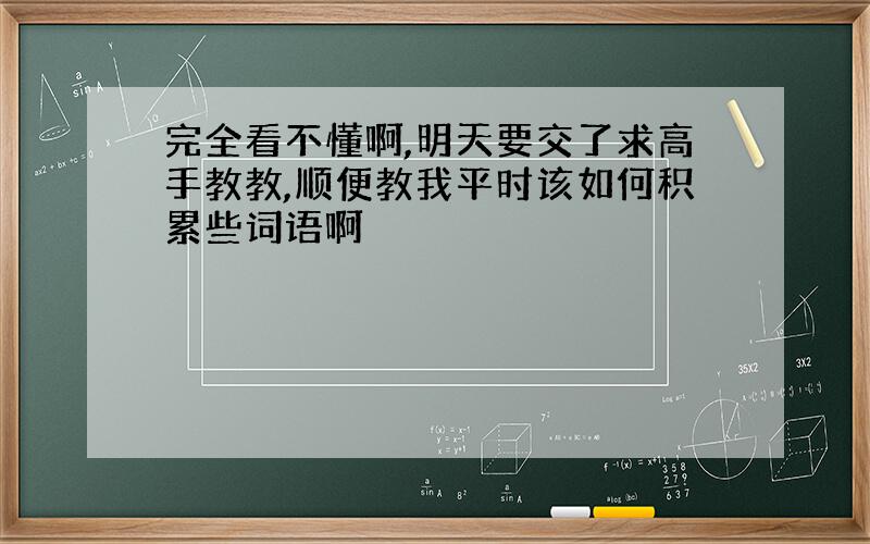 完全看不懂啊,明天要交了求高手教教,顺便教我平时该如何积累些词语啊