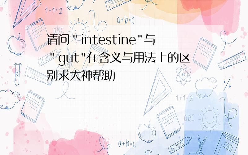 请问＂intestine