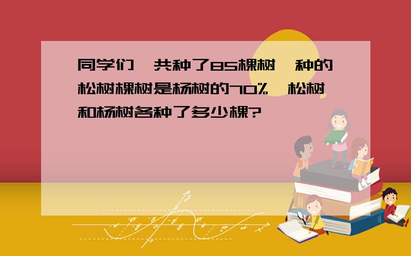 同学们一共种了85棵树,种的松树棵树是杨树的70%,松树和杨树各种了多少棵?