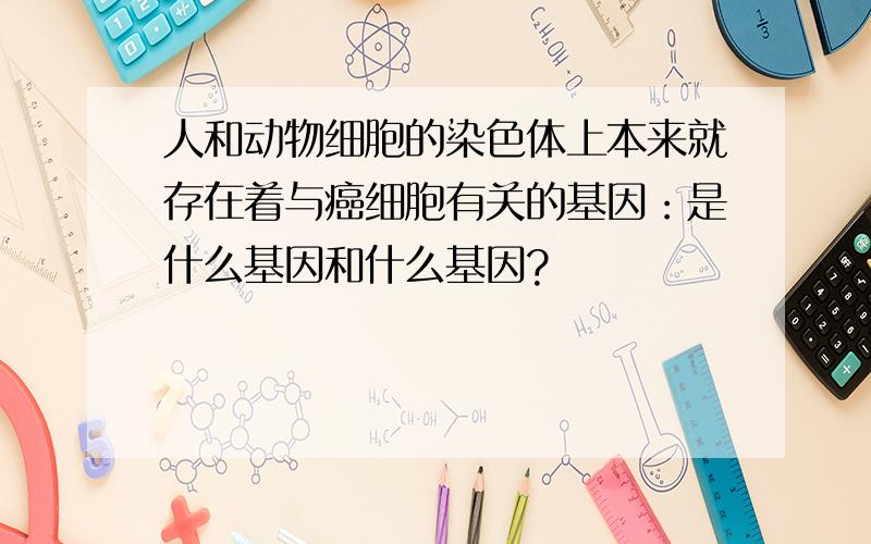 人和动物细胞的染色体上本来就存在着与癌细胞有关的基因：是什么基因和什么基因?