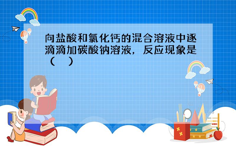 向盐酸和氯化钙的混合溶液中逐滴滴加碳酸钠溶液，反应现象是（　　）