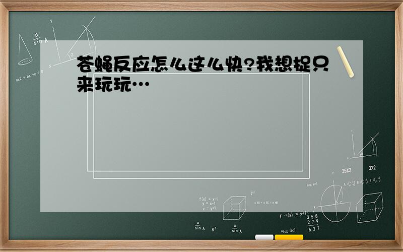 苍蝇反应怎么这么快?我想捉只来玩玩…