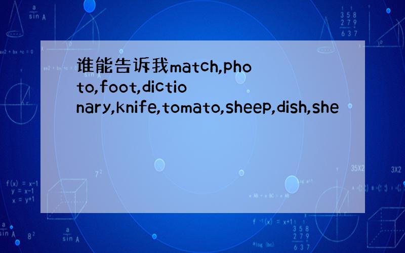 谁能告诉我match,photo,foot,dictionary,knife,tomato,sheep,dish,she