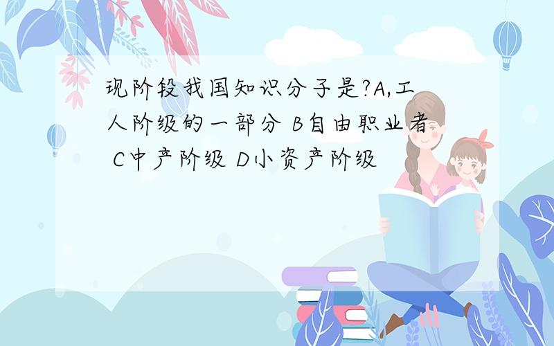 现阶段我国知识分子是?A,工人阶级的一部分 B自由职业者 C中产阶级 D小资产阶级