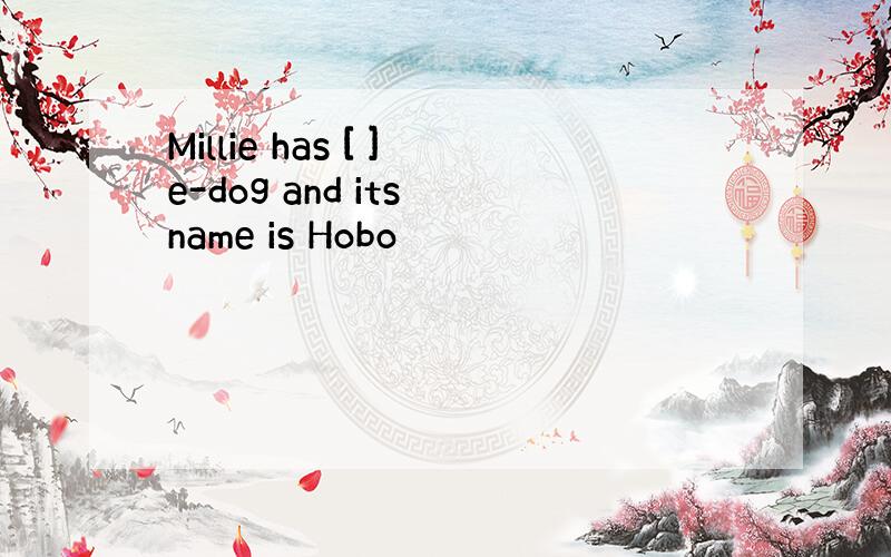 Millie has [ ]e-dog and its name is Hobo