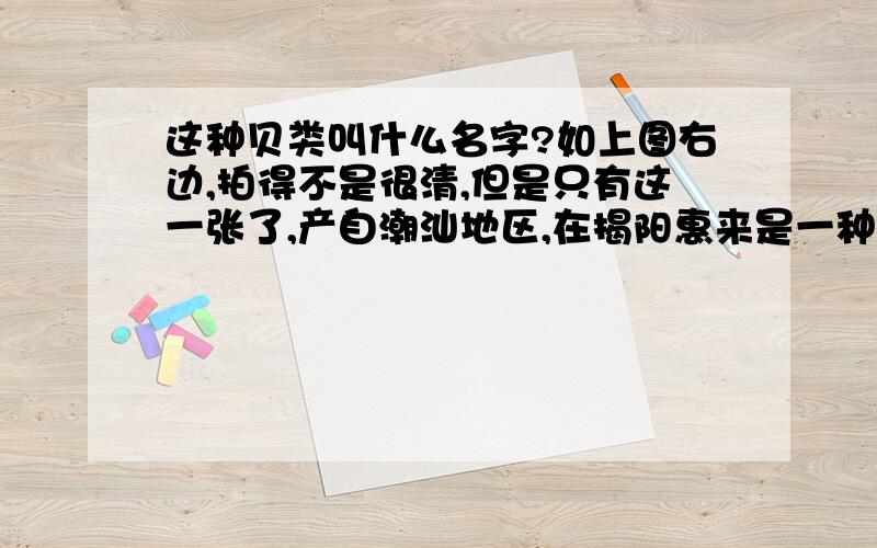 这种贝类叫什么名字?如上图右边,拍得不是很清,但是只有这一张了,产自潮汕地区,在揭阳惠来是一种常见零食...每错,是零食