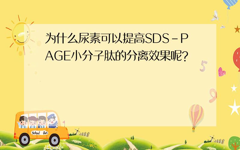 为什么尿素可以提高SDS-PAGE小分子肽的分离效果呢?