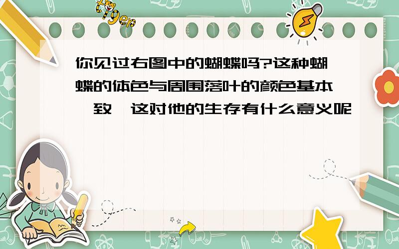 你见过右图中的蝴蝶吗?这种蝴蝶的体色与周围落叶的颜色基本一致,这对他的生存有什么意义呢