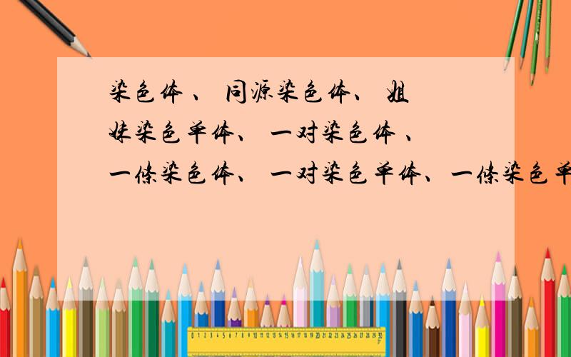 染色体 、 同源染色体、 姐妹染色单体、 一对染色体 、一条染色体、 一对染色单体、一条染色单体、一对同源染色单体 还有