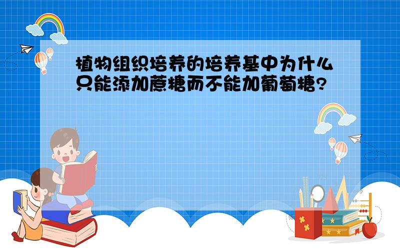 植物组织培养的培养基中为什么只能添加蔗糖而不能加葡萄糖?