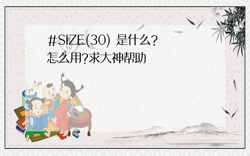 #SIZE(30) 是什么?怎么用?求大神帮助