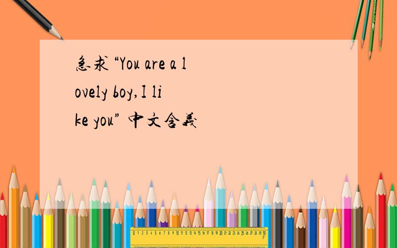 急求“You are a lovely boy,I like you” 中文含义