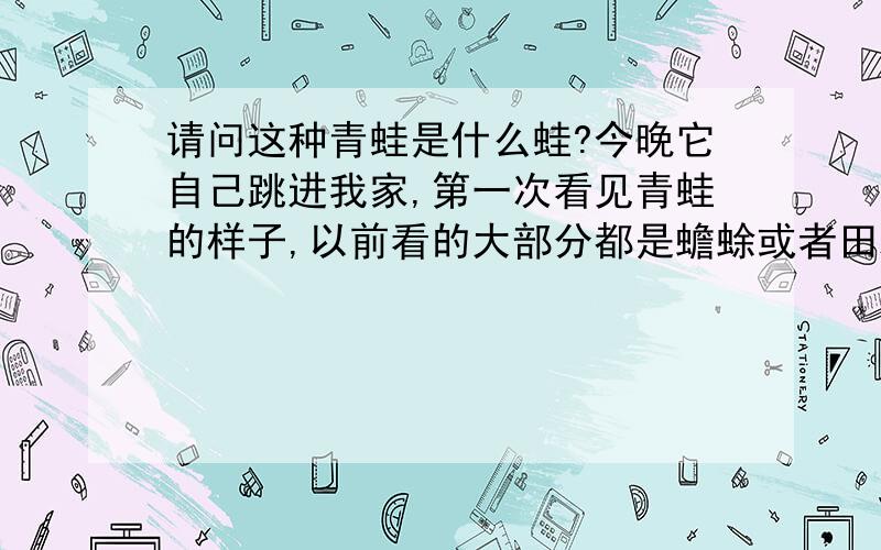 请问这种青蛙是什么蛙?今晚它自己跳进我家,第一次看见青蛙的样子,以前看的大部分都是蟾蜍或者田鸡.