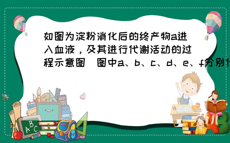 如图为淀粉消化后的终产物a进入血液，及其进行代谢活动的过程示意图．图中a、b、c、d、e、f分别代表不同的物质．&nbs