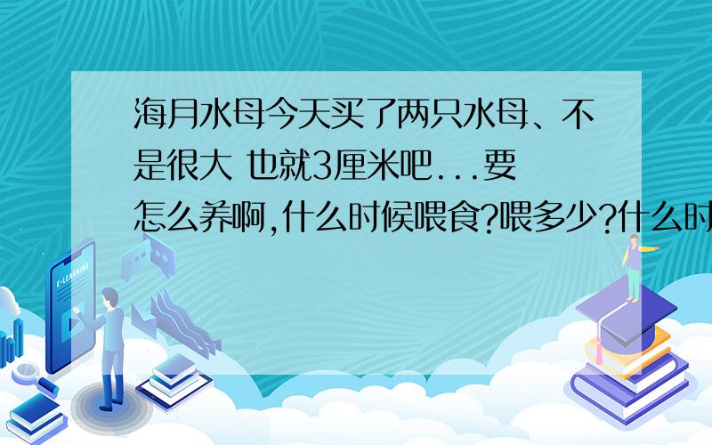 海月水母今天买了两只水母、不是很大 也就3厘米吧...要怎么养啊,什么时候喂食?喂多少?什么时候换水?知道的有经验的告诉