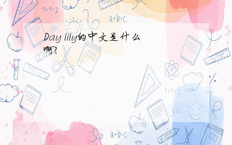 Day lily的中文是什么啊?