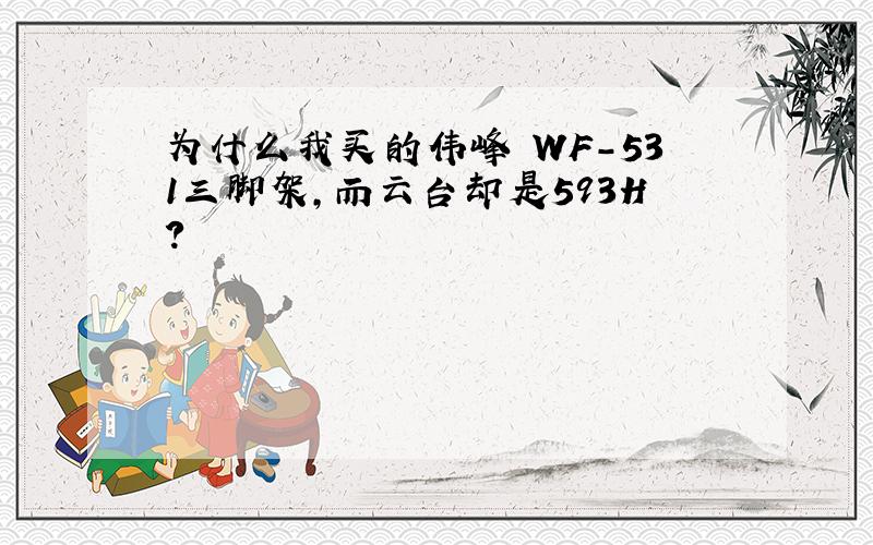 为什么我买的伟峰 WF-531三脚架,而云台却是593H?