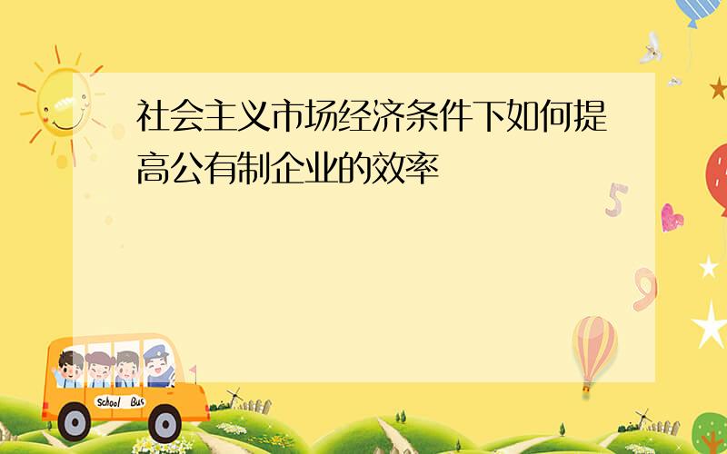 社会主义市场经济条件下如何提高公有制企业的效率