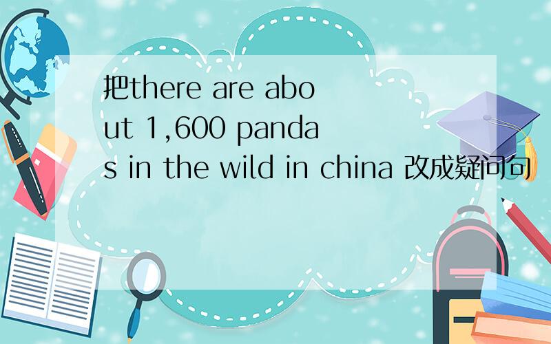 把there are about 1,600 pandas in the wild in china 改成疑问句