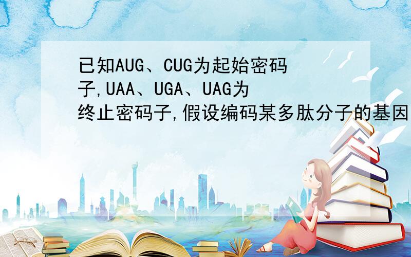 已知AUG、CUG为起始密码子,UAA、UGA、UAG为终止密码子,假设编码某多肽分子的基因中一条链的碱基排列顺序