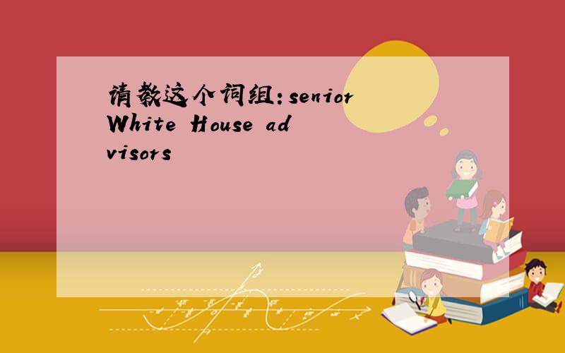 请教这个词组：senior White House advisors