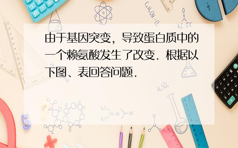 由于基因突变，导致蛋白质中的一个赖氨酸发生了改变．根据以下图、表回答问题．